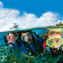 PADI Open Water Diver with PADI Drysuit Speciality. Normally £689